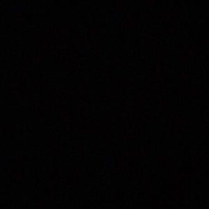 Meet your Posher, Ella